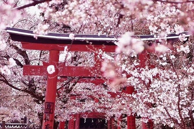 Private arrival transfer from Osaka Itami International airport to Kyoto City - Luggage rules and what to do if you have “extra” stuff