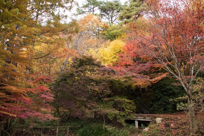 Private Car Day Trip to the Kobe Mountains, Gardens and Hot Springs from Osaka - Guides Kevin and Levy: English Support That Makes the Day Easier