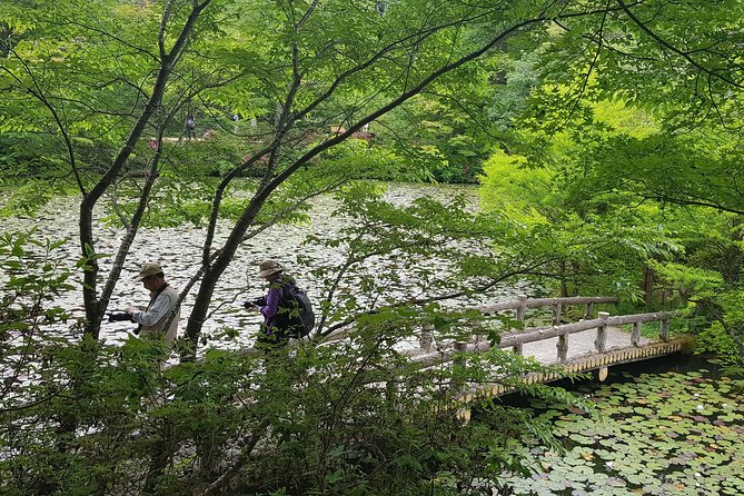 Private Car Day Trip to the Kobe Mountains, Gardens and Hot Springs from Osaka - Who This Tour Fits Best (And Who Might Want a Simpler Plan)
