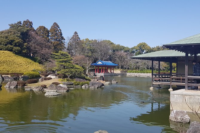Private Car Full Day Tour of Osaka Temples, Gardens and Kofun Tombs - Lunch at a kaiten sushi spot: plan your budget