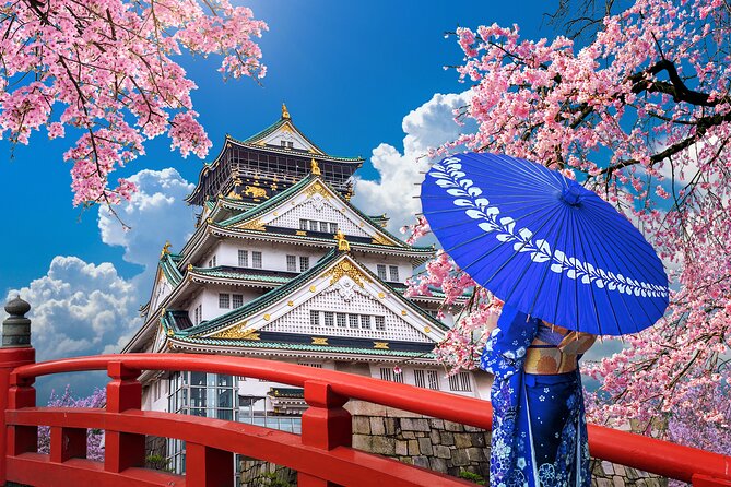 Private Day Tour in Osaka and Kyoto with charter car - What a charter car does for your Kyoto-Osaka day