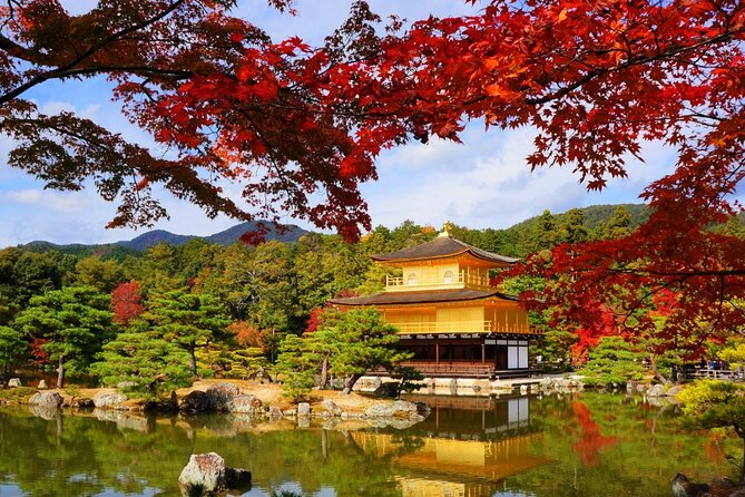 Private Day Tour in Osaka and Kyoto with charter car - Fushimi Inari Shrine: timing matters more than you think