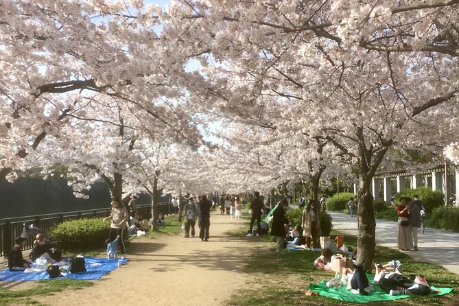 Private Osaka Tour with Hotel Meet Up - Key Points I’d Plan Around