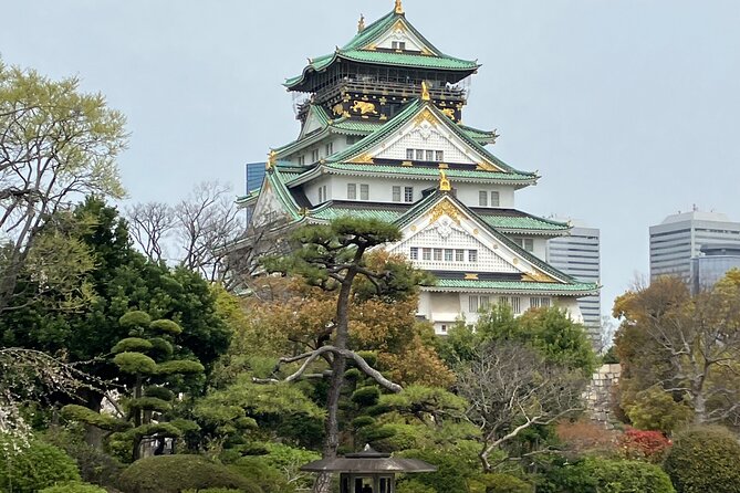 Private Osaka Tour with Hotel Meet Up - A 3–5 Hour Route That Actually Feels Like Osaka