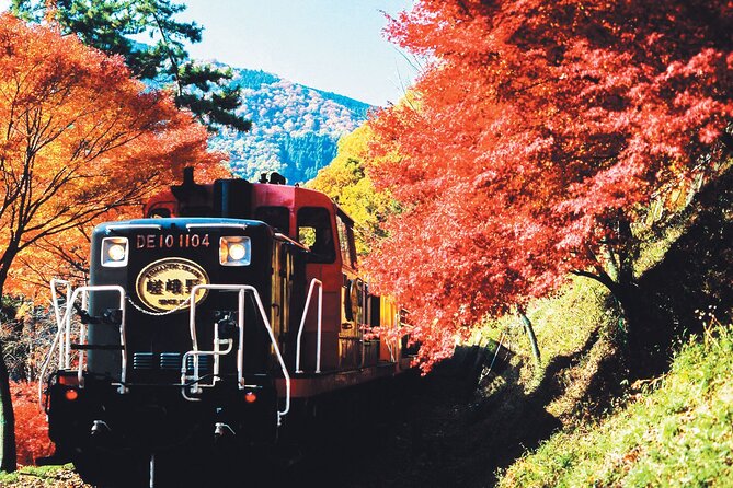 Sagano Romantic Train & Arashiyama, Kiyomizudera, Fushimi Inari Taisha Day Tour - Why This Kyoto Highlights Day Trip Works from Osaka