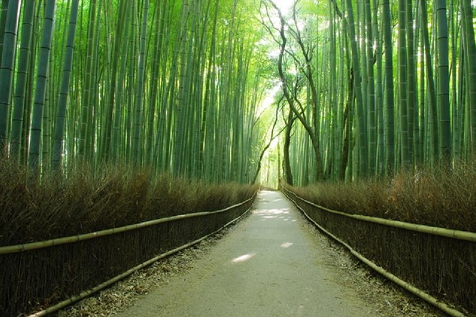 Sagano Romantic Train & Arashiyama, Kiyomizudera, Fushimi Inari Taisha Day Tour - Price and What You’re Actually Buying for $82.78