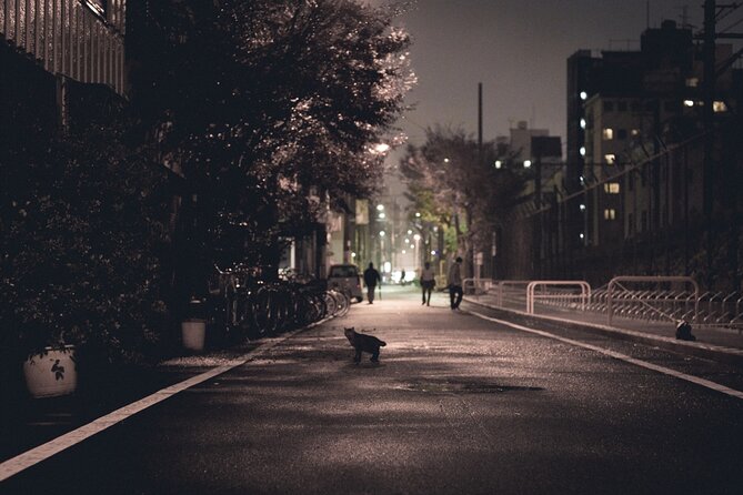 The Dark Side of Osaka Walking Tour - Tobita Shinchi: Osaka’s Red-Light District, Explained Like a Neighborhood