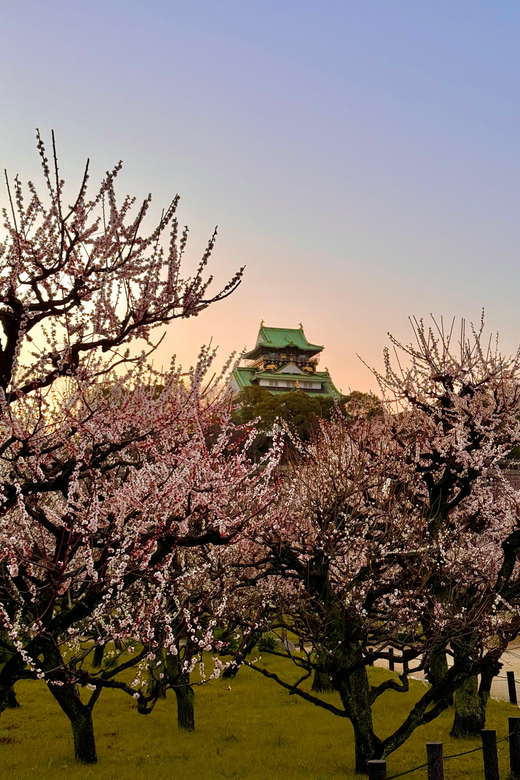 (Ticket Included) Explore Osaka Castle & Museum of History - Two ways to experience Osaka Castle and the Museum of History