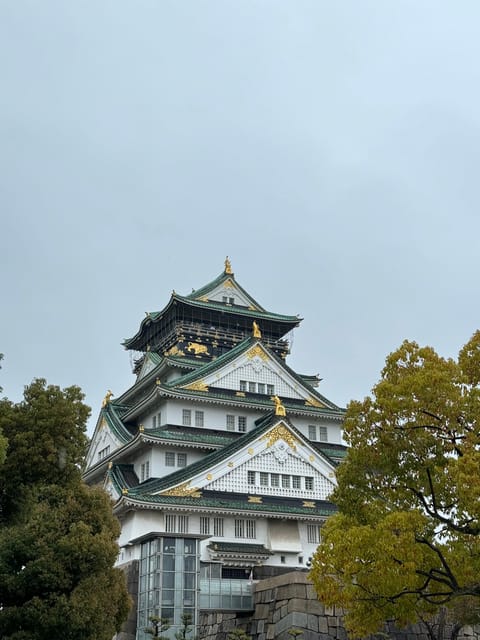 (Ticket Included) Explore Osaka Castle & Museum of History - Meeting at 難波宮跡: get oriented before the walking starts