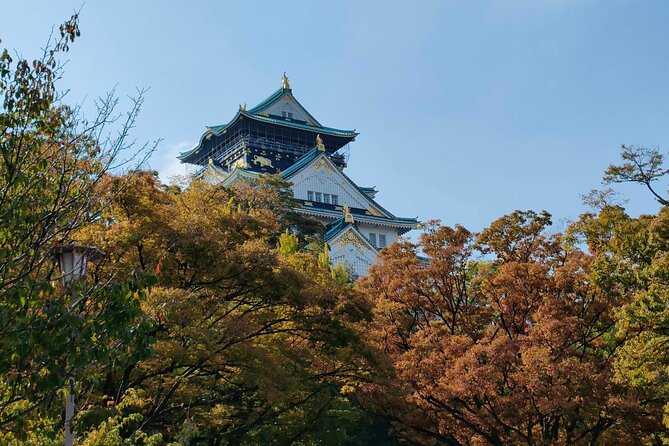 Ultimate Osaka Walking Tour: Castle, Dotonbori & Hidden Gems - Osaka in One Day: Why This 5–7 Hour Walk Works
