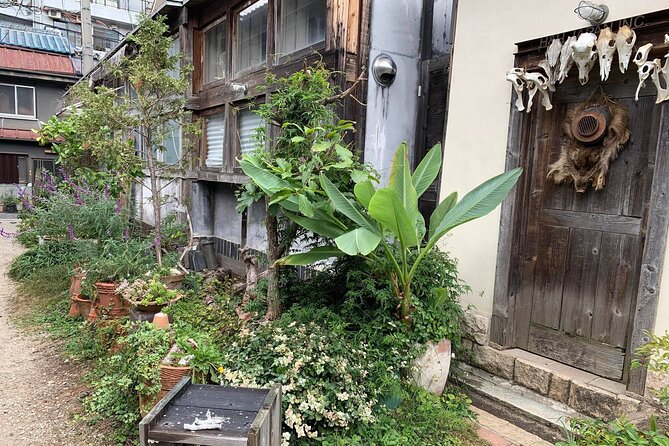 Urban Canvas: Osaka Street Art Bike Tour - Riding Distance and Fitness: What Moderate Really Means