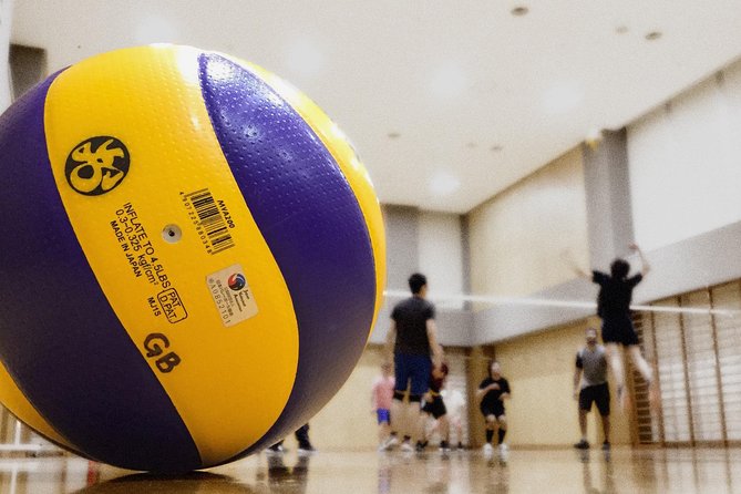 Volleyball in Osaka & Kyoto with Locals! - Who this is best for (and who might want to pick a different plan)